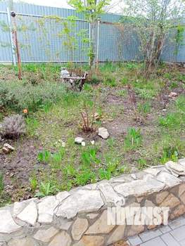 Дом 55м&sup2;, 2-этажный, участок 6 сот.  