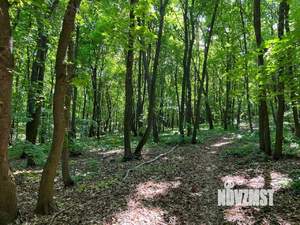 Коттедж 301м&sup2;, 2-этажный, участок 12 сот.  