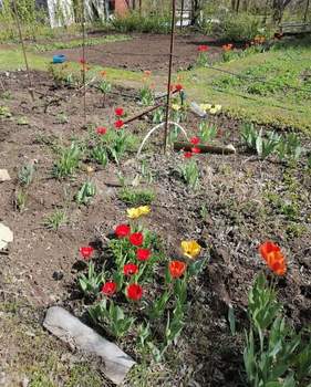 Дача 25м², 2-этажный, участок 12 сот.  