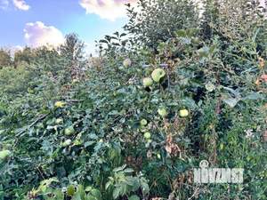 Дом 58м&sup2;, 1-этажный, участок 14 сот.  