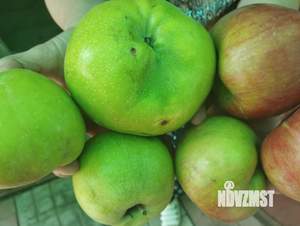 Дом 197м², 3-этажный, участок 6 сот.  