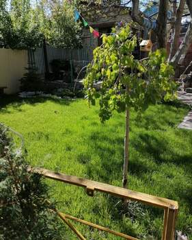 Дом 159м², 3-этажный, участок 4 сот.  