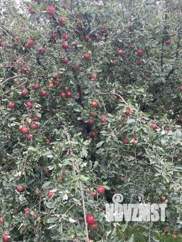 Дом 80м&sup2;, 2-этажный, участок 7 сот.  