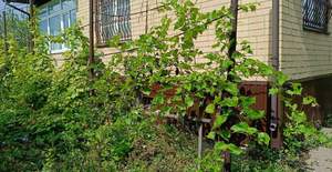 Дом 289м&sup2;, 2-этажный, участок 15 сот.  