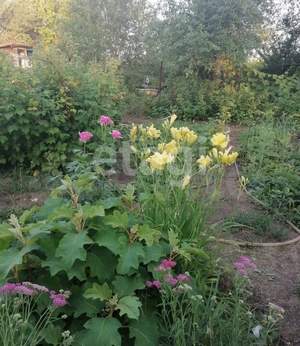 Дача 25м², 2-этажный, участок 12 сот.  