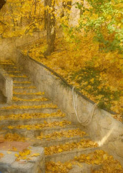 Дом 230м², 2-этажный, участок 10 сот.  