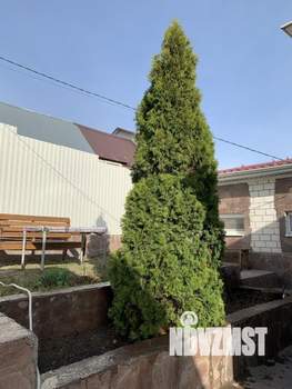 Дом 184м&sup2;, 2-этажный, участок 6 сот.  