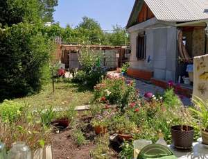 Дом 40м², 1-этажный, участок 12 сот.  