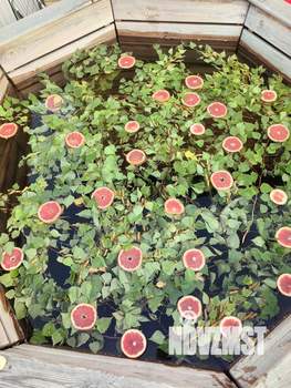 Дом 92м&sup2;, 2-этажный, участок 0 сот.  