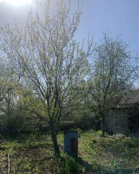 Дом 20м², 2-этажный, участок 6 сот.  