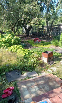 Дом 43м&sup2;, 1-этажный, участок 19 сот.  