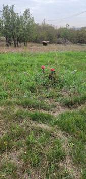 Дом 30м&sup2;, 1-этажный, участок 6 сот.  