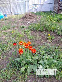 Дом 16м&sup2;, 1-этажный, участок 7 сот.  