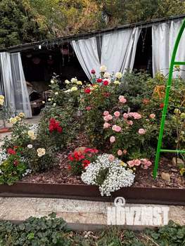 Дом 57м², 1-этажный, участок 4 сот.  