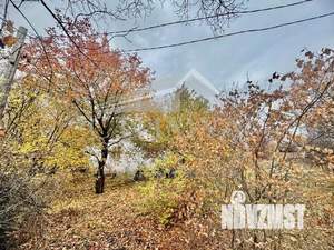 Дом 46м&sup2;, 1-этажный, участок 15 сот.  