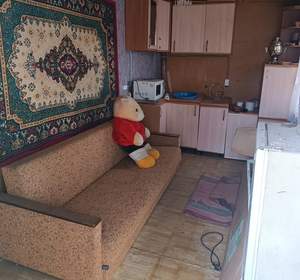 Дом 24м&sup2;, 1-этажный, участок 8 сот.  