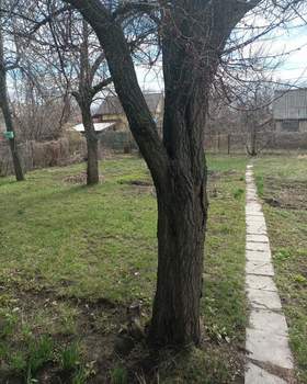 Дача 67м², 2-этажный, участок 7 сот.  