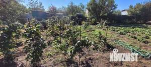 Дом 72м&sup2;, 2-этажный, участок 12 сот.  