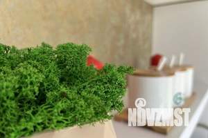 2-к квартира, посуточно, 55м2, 11/19 этаж