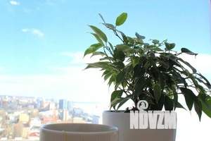 1-к квартира, посуточно, 45м2, 21/25 этаж