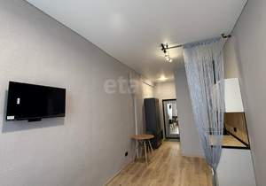 Студия квартира, на длительный срок, 24м2, 5/5 этаж