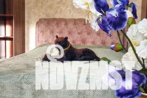 1-к квартира, посуточно, 33м2, 4/10 этаж