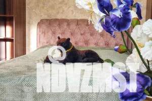 1-к квартира, посуточно, 33м2, 4/10 этаж