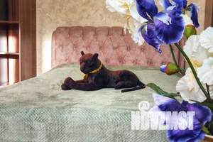 1-к квартира, посуточно, 33м2, 4/10 этаж