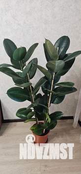 1-к квартира, посуточно, 45м2, 22/25 этаж