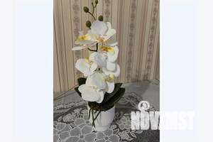 1-к квартира, посуточно, 33м2, 2/9 этаж