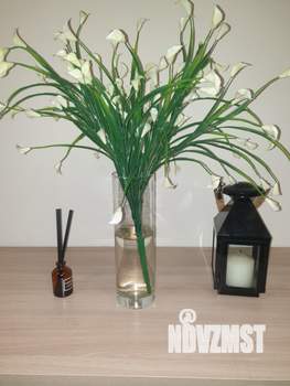Студия квартира, посуточно, 80м2, 1/4 этаж