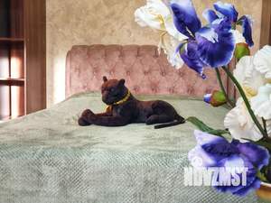 Студия квартира, посуточно, 33м2, 4/10 этаж