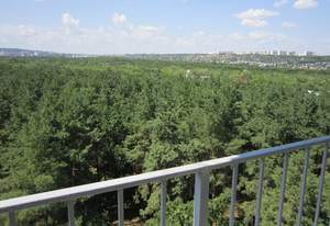 1-к квартира, на длительный срок, 42м2, 7/8 этаж