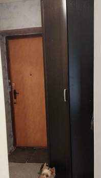 1-к квартира, на длительный срок, 37м2, 1/10 этаж