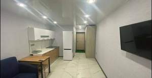 1-к квартира, на длительный срок, 24м2, 6/10 этаж