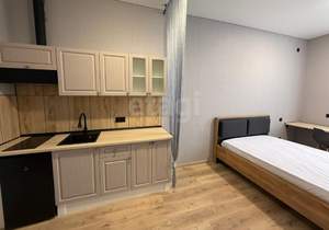 Студия квартира, на длительный срок, 24м2, 5/5 этаж