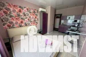 1-к квартира, посуточно, 24м2, 2/3 этаж