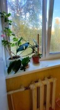 2-к квартира, на длительный срок, 46м2, 5/9 этаж