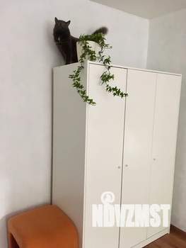 1-к квартира, посуточно, 29м2, 2/7 этаж