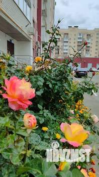 1-к квартира, на длительный срок, 38м2, 6/12 этаж