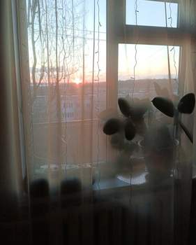 1-к квартира, вторичка, 29м2, 8/9 этаж