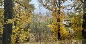 2-к квартира, вторичка, 44м2, 2/5 этаж