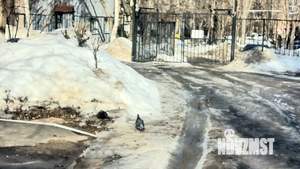 1-к квартира, вторичка, 32м2, 3/5 этаж