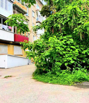 2-к квартира, вторичка, 48м2, 3/5 этаж