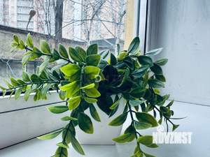 1-к квартира, вторичка, 16м2, 2/5 этаж