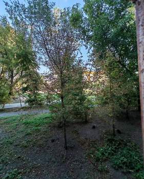 2-к квартира, вторичка, 52м2, 1/9 этаж