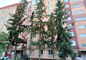 3-к квартира, вторичка, 66м2, 9/9 этаж