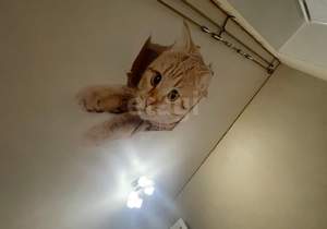 2-к квартира, вторичка, 59м2, 2/10 этаж