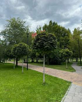 2-к квартира, вторичка, 47м2, 1/5 этаж
