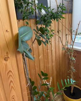 2-к квартира, вторичка, 60м2, 4/10 этаж